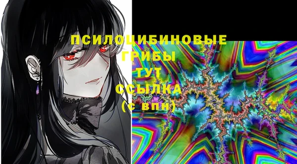 героин Лабытнанги