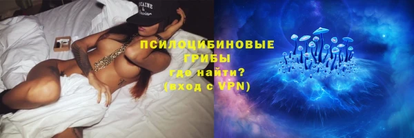 индика Богданович