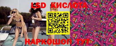бошки Донецк