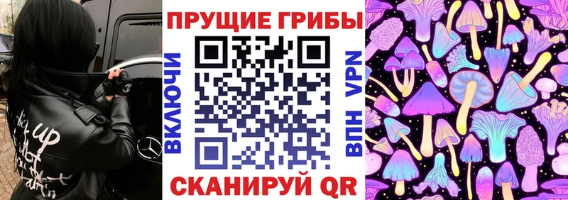 Галлюциногенные грибы Psilocybine cubensis  Октябрьский 