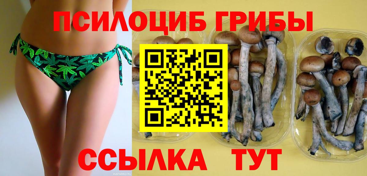 Галлюциногенные грибы GOLDEN TEACHER  Октябрьский 